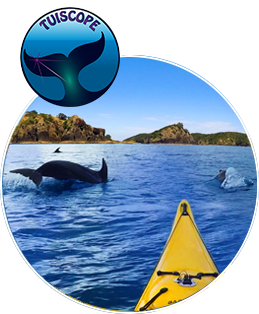 view from Tui's kayak